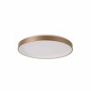 Потолочный светильник Italux Vico PLF-53675-058RC-GD-3KS4K-TRDIMM alt_image
