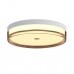 Потолочная люстра Italux Molino PLF-64536-M-WH