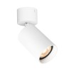 alt_imageСпот Italux Nesto SPL-23436-1R-WH