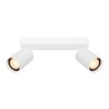 alt_imageСпот Italux Nesto SPL-23436-2-WH