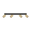 alt_imageСпот Italux Nesto SPL-23436-4-BK-GD