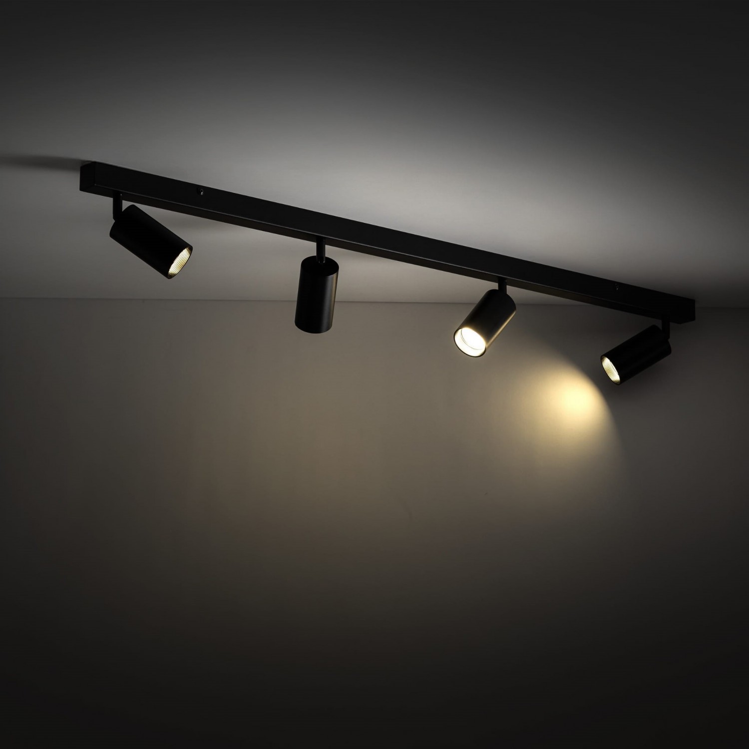 Спот TK Lighting AMIS 10635