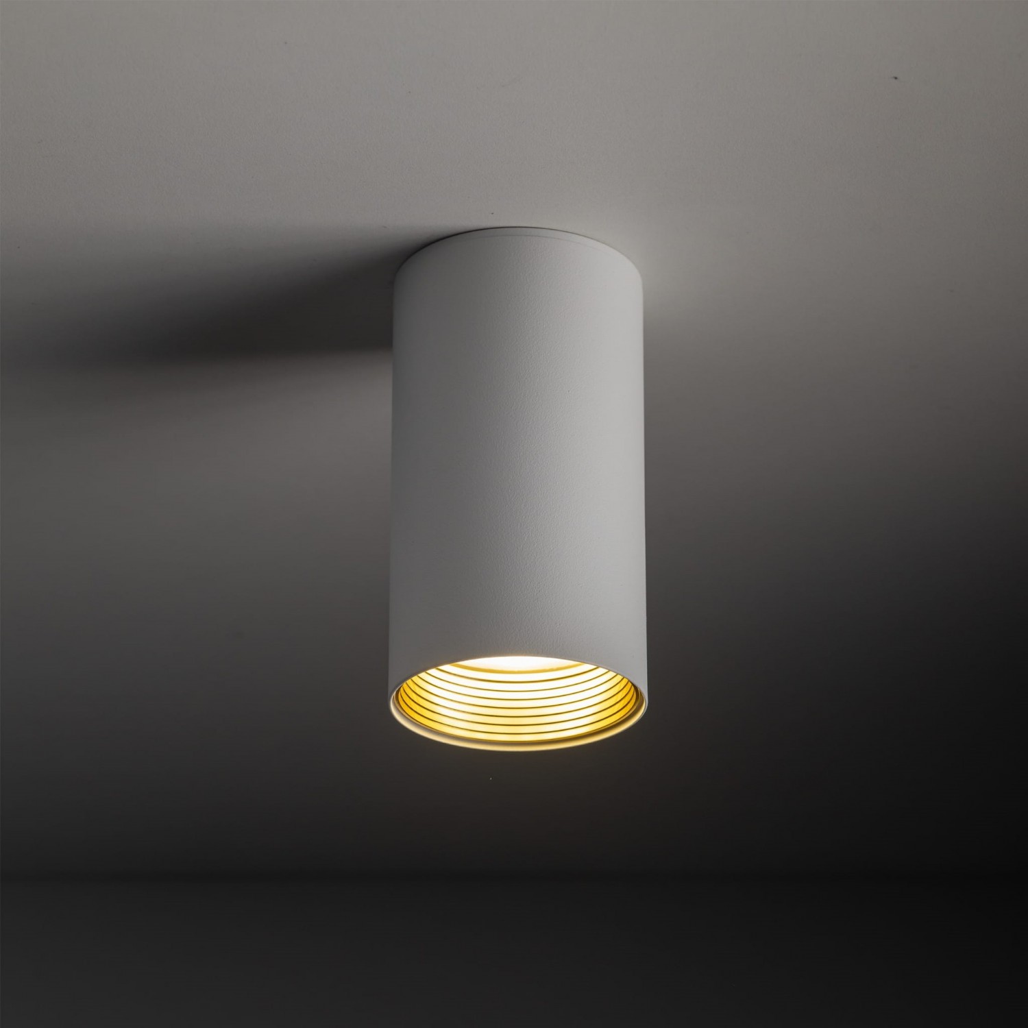 Спот TK Lighting AMIS 10719
