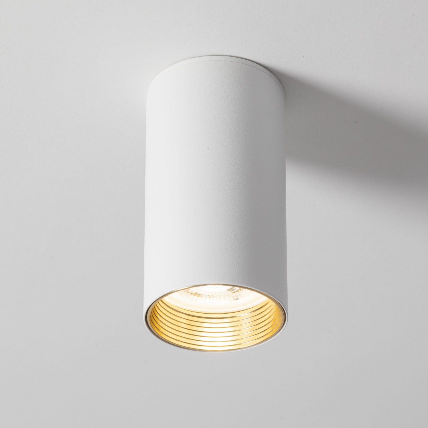 Спот TK Lighting AMIS 10719
