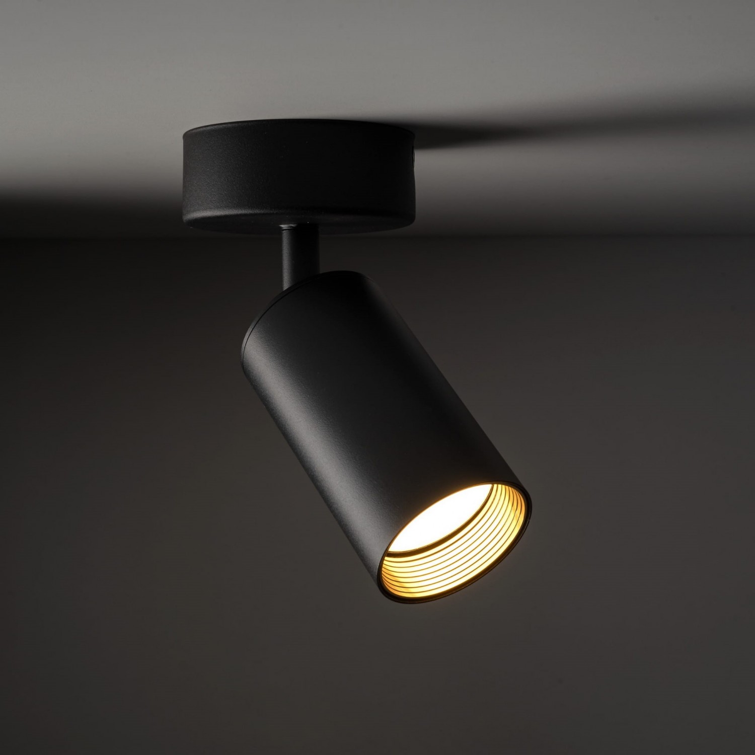 Спот TK Lighting AMIS 10793