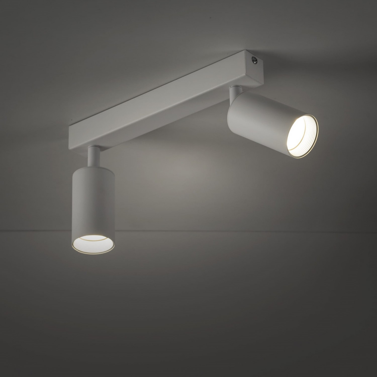 Спот TK Lighting AMIS 10795