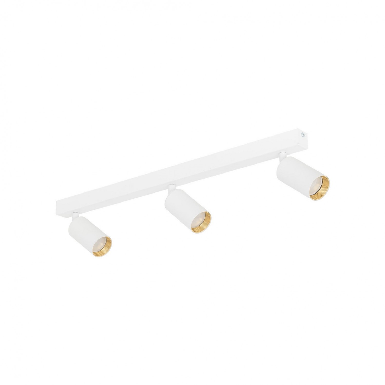 alt_image Спот TK Lighting AMIS 10796