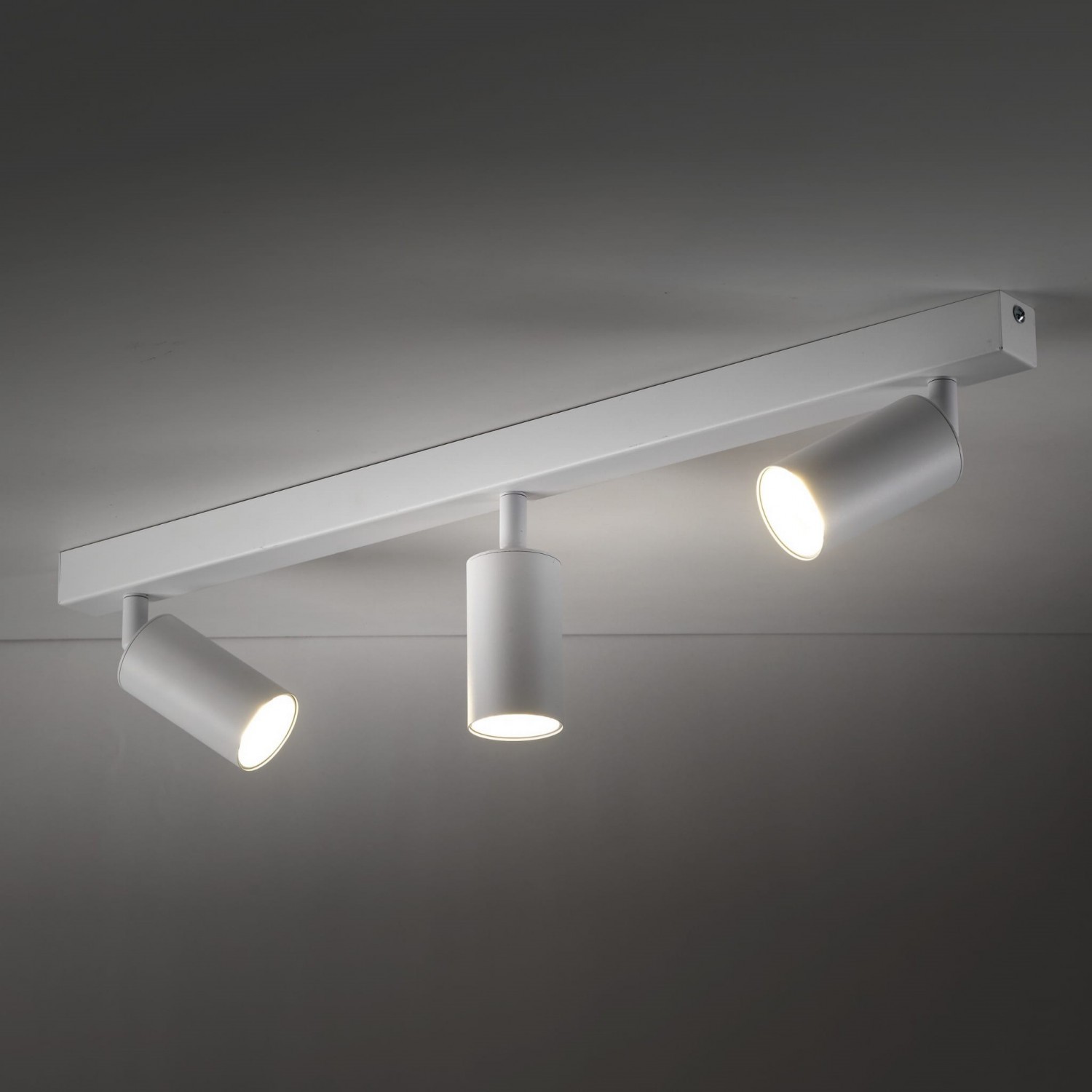 Спот TK Lighting AMIS 10796