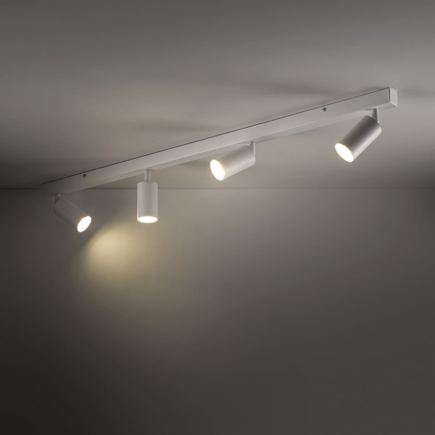 Спот TK Lighting AMIS 10797
