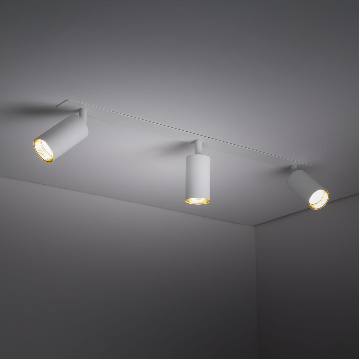 Спот TK Lighting AMIS 10812
