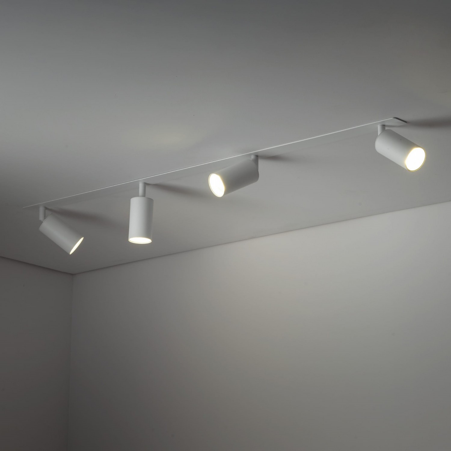 Спот TK Lighting AMIS 10813