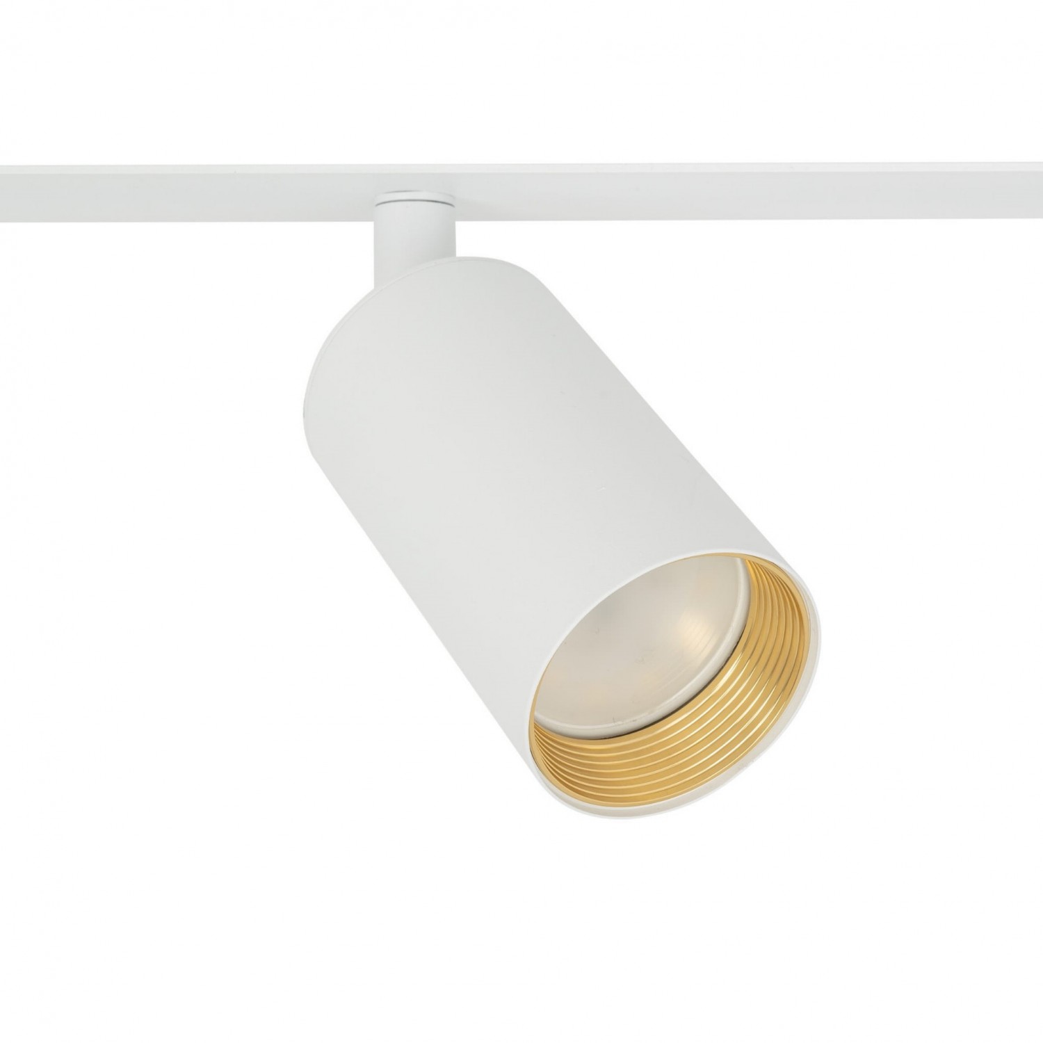 Спот TK Lighting AMIS 10813