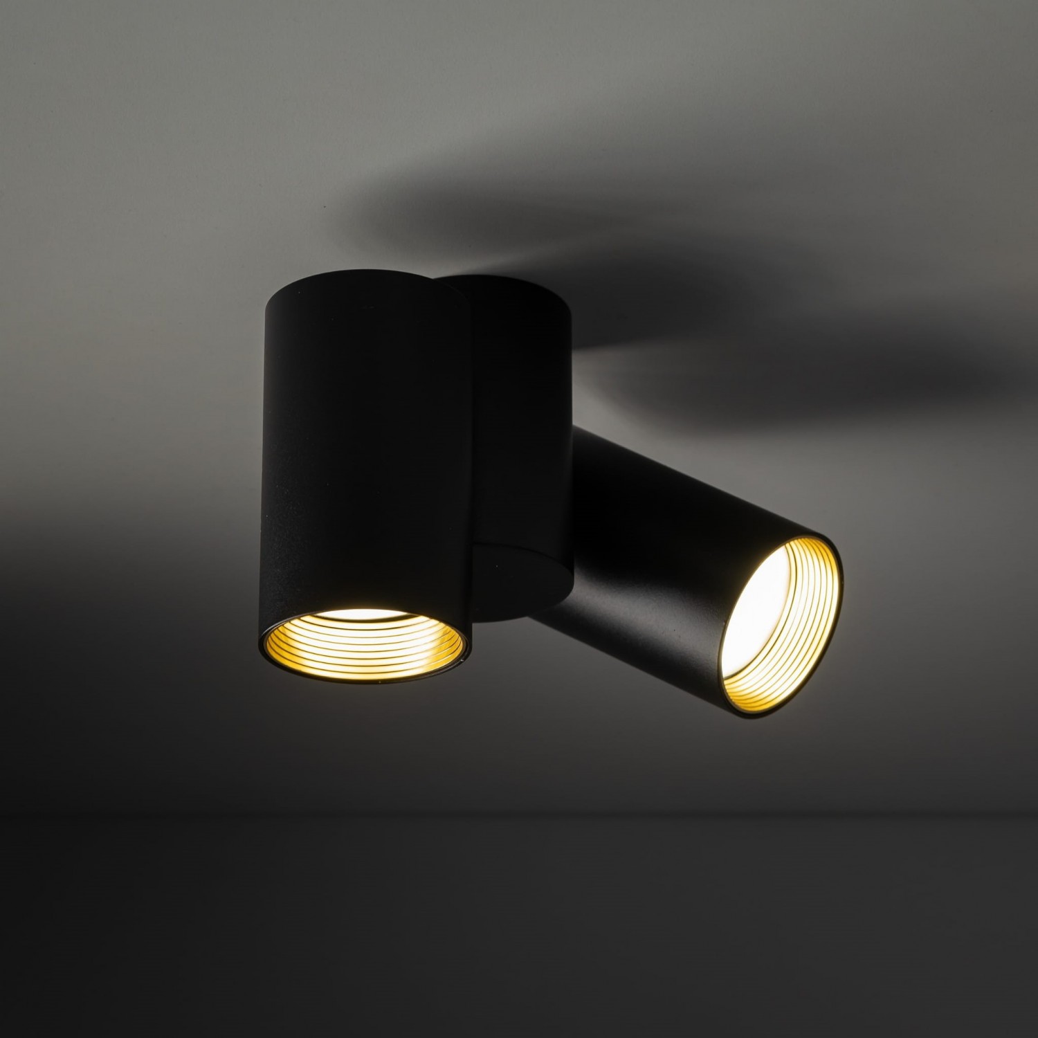 Спот TK Lighting AMIS 10974