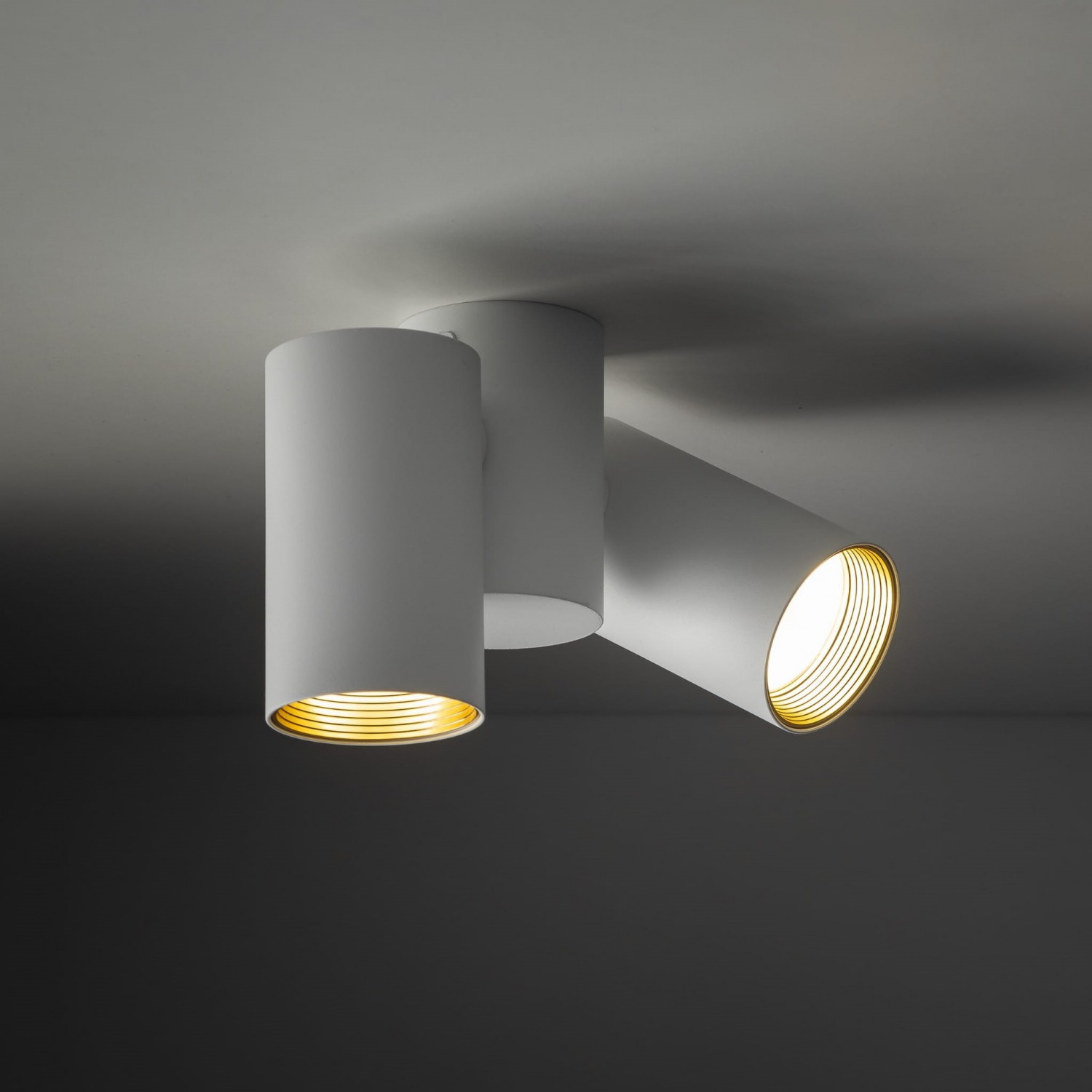 Спот TK Lighting AMIS 10975
