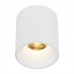 Спот TK Lighting BLAZE 18157