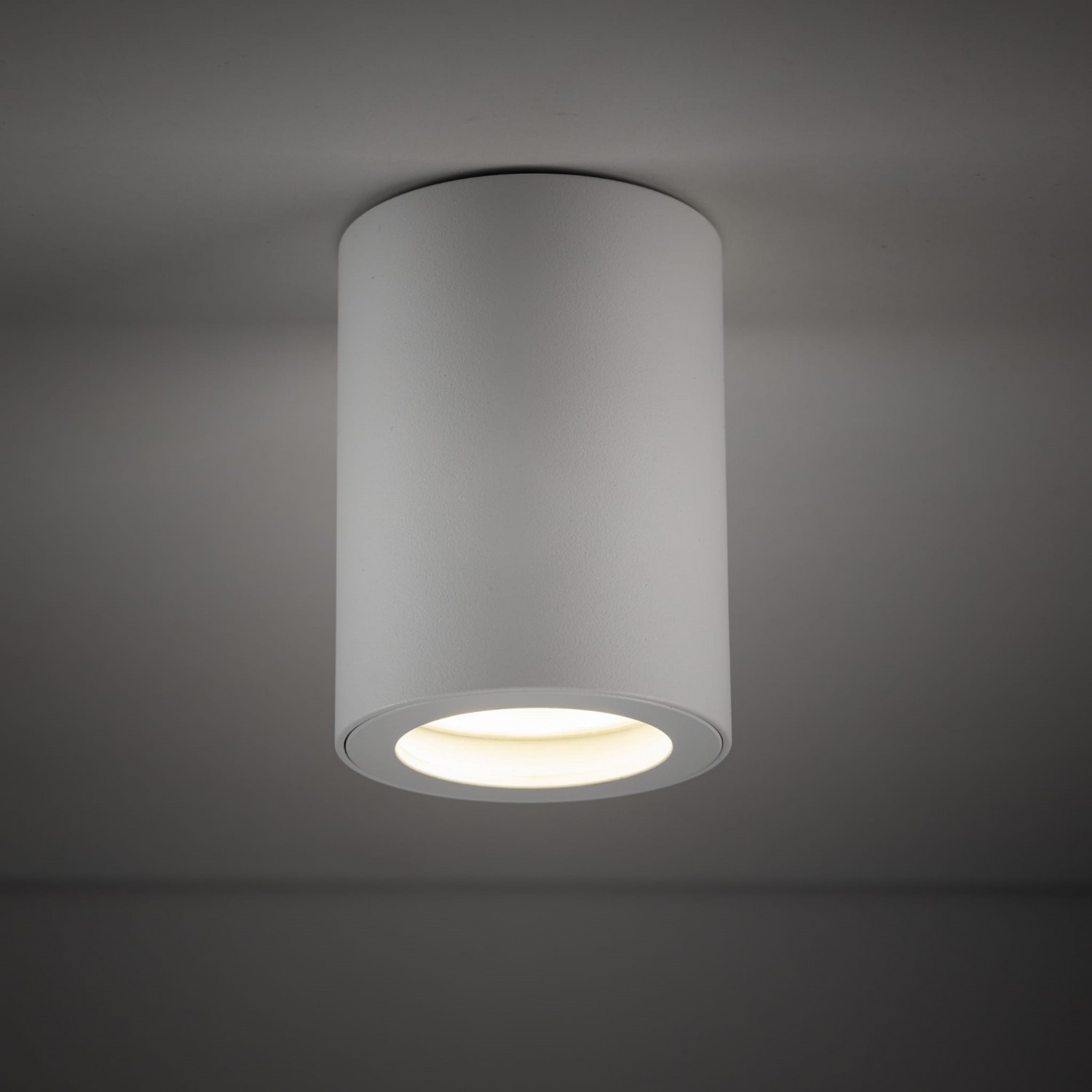 Спот TK Lighting LIGNO 10932