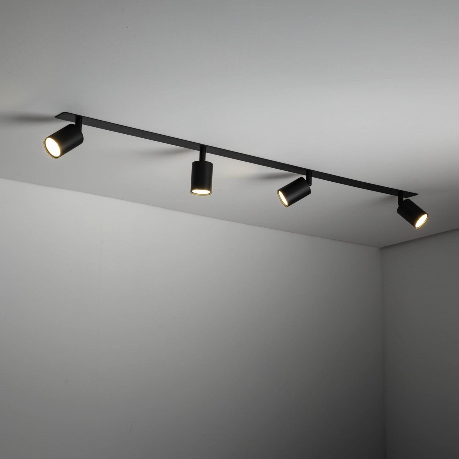 Спот TK Lighting NEX 10801