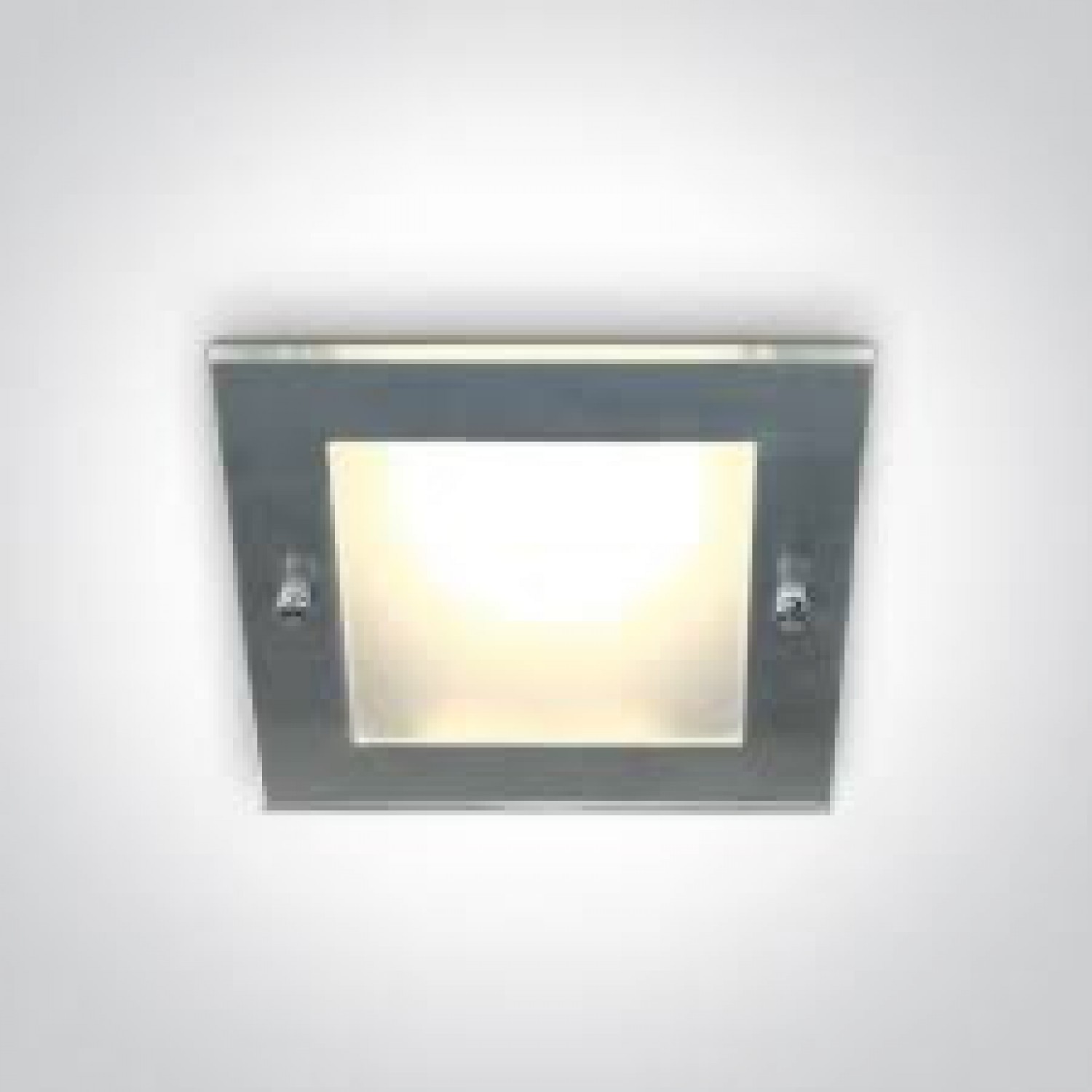 alt_image Точечный светильник ONE Light E27 Budget Downlights Metal 50115BF/MC