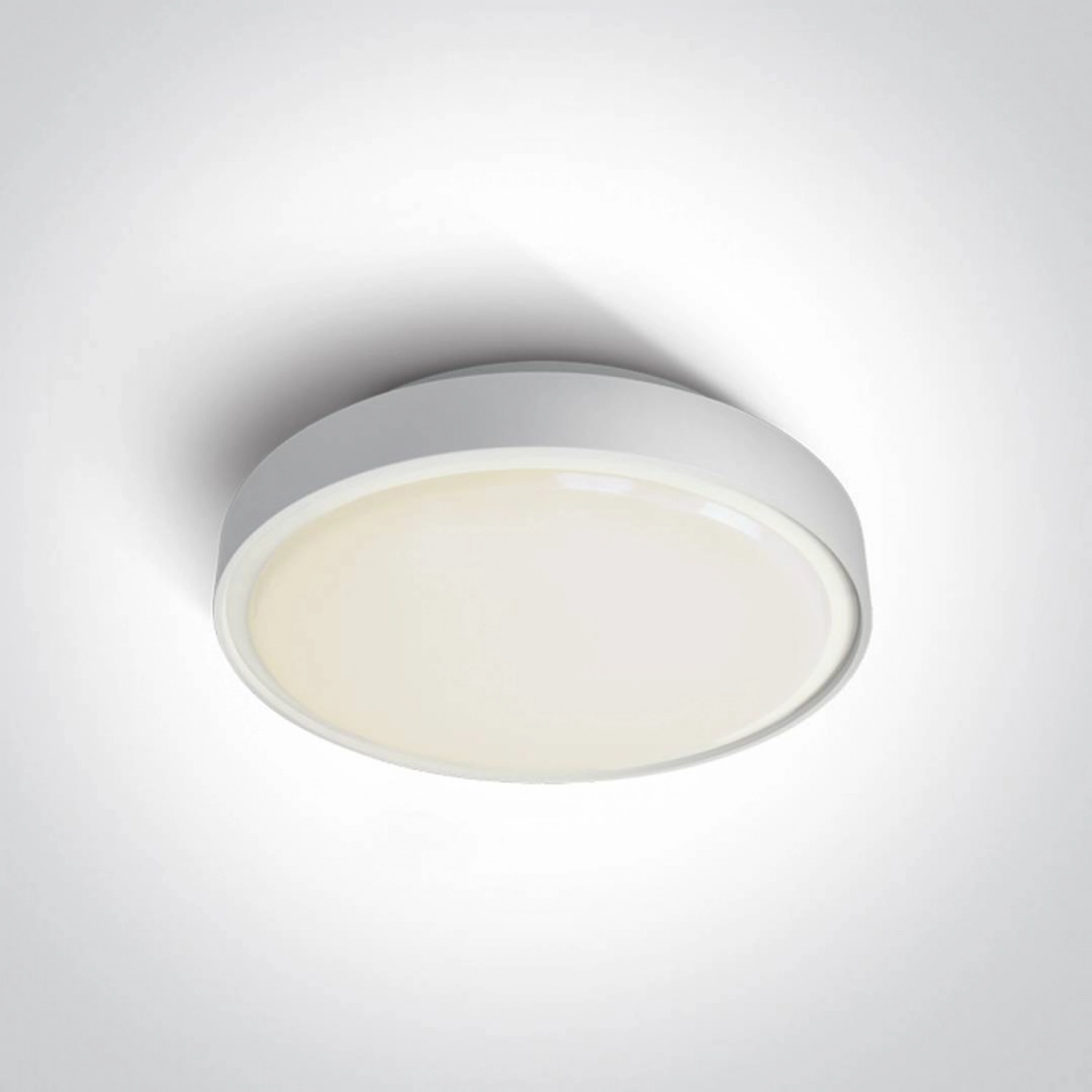 Потолочный светильник ONE Light The LED Plafo Outdoor Round 67280AN/W/C alt_image Потолочный светильник ONE Light The LED Plafo Outdoor Round 67280AN/W/C
